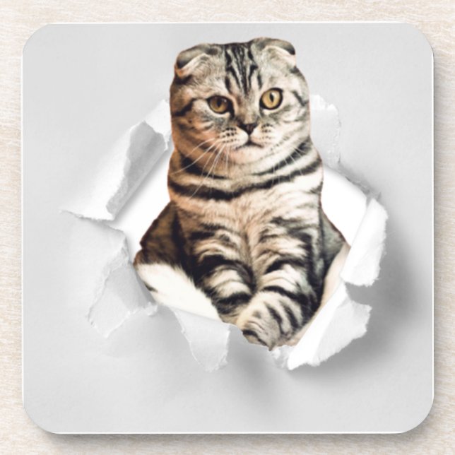 Funny Torn Paper Cute Cat Lover Humor Beverage Coaster (Front)