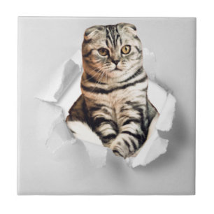 Funny Torn Paper Cute Cat Lover Humor Ceramic Tile