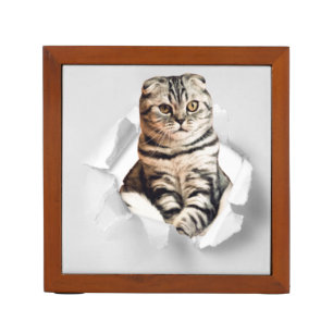 Funny Torn Paper Cute Cat Lover Humor Desk Organizer