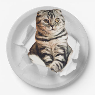 Funny Torn Paper Cute Cat Lover Humor Plates