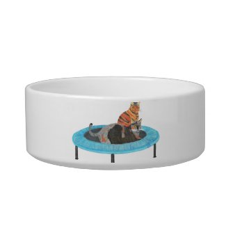 Funny Trampoline Cats Painting, Pet Dish