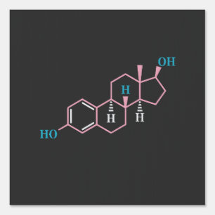 Funny Transgender Trans LGBT Pride Rights Estrogen Sign