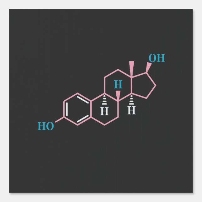 Funny Transgender Trans LGBT Pride Rights Estrogen Sign (Front)