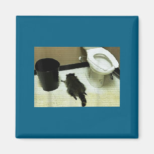 Funny Trashed Panda Drunk Racoon  Magnet