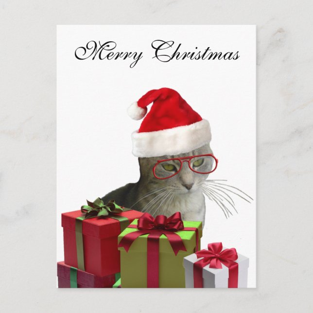 Funny trendy Santa wise cat Christmas Holiday Postcard (Front)