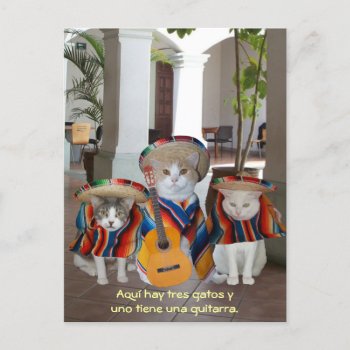 Funny Tres Gatos Spanish Teaching Aid Postcard by myrtieshuman at Zazzle