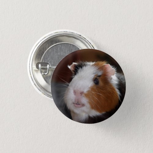 Funny Tricolor Smooth Guinea Pig Face Pinback Button