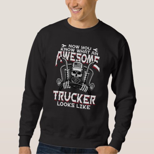 Funny Truck Drivers Awesome Trucker Diesel Semi Bi Sweatshirt