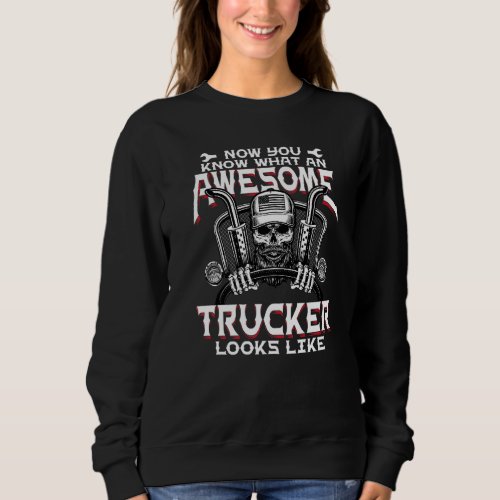 Funny Truck Drivers Awesome Trucker Diesel Semi Bi Sweatshirt