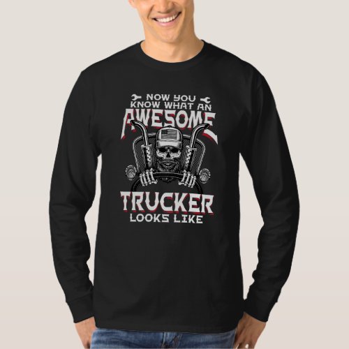 Funny Truck Drivers Awesome Trucker Diesel Semi Bi T_Shirt