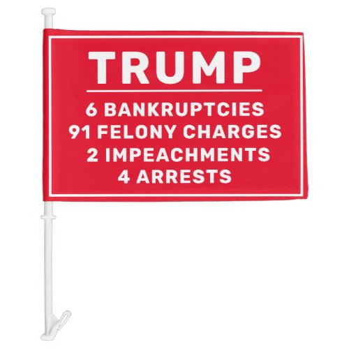 Funny Trump By the Numbers Car Flag