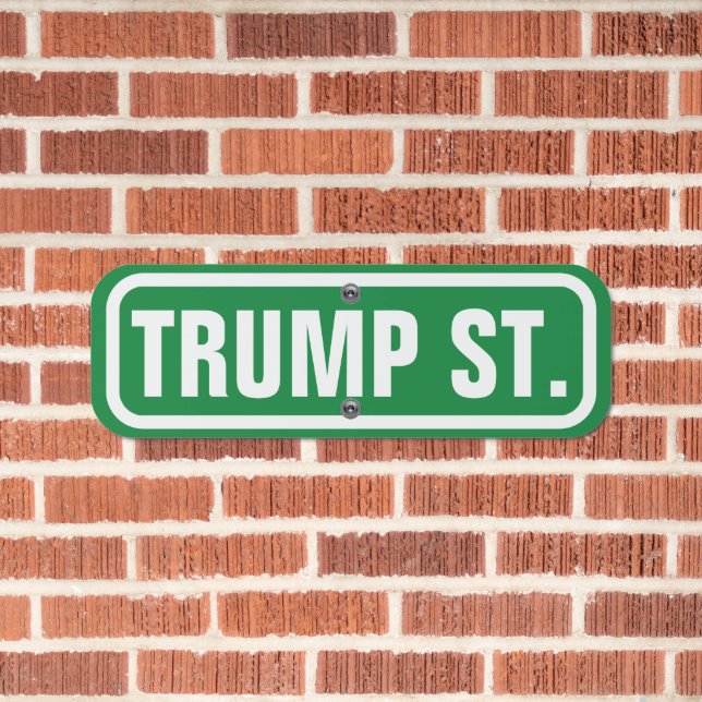 Funny Trump President Donald Trump Street Metal Sign (In Situ(Brick))