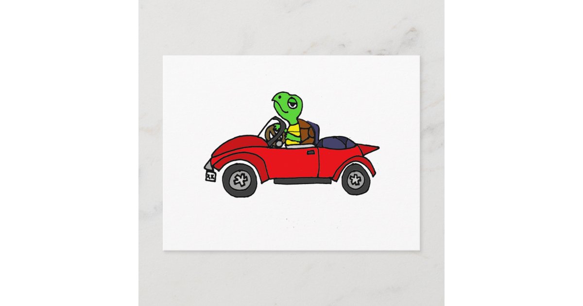 Funny Turtle Driving Red Convertible Car Postcard | Zazzle Funny Turtle Driving Red Convertible Car Postcard | Zazzle