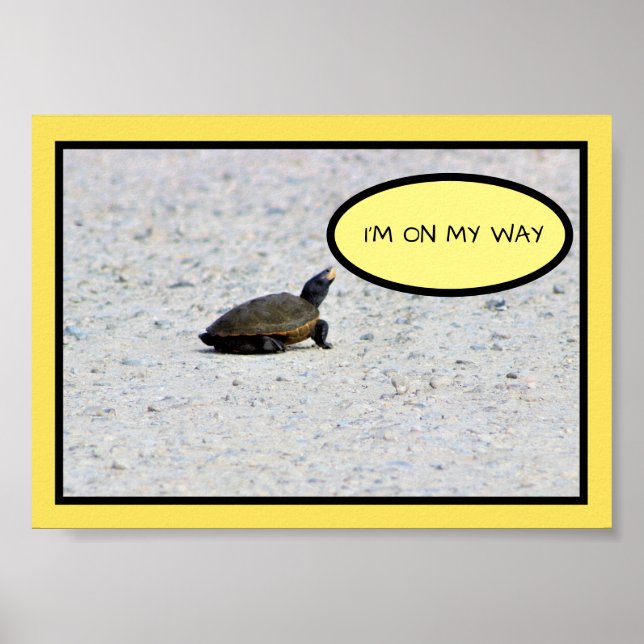 Funny Turtle Photo Poster (Front)
