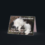 Funny Tuxedo Cat Birthday Love You Toe Beans Card<br><div class="desc">Funny Tuxedo Cat Birthday Love You Toe Beans Card. A very beautiful card for anyone you love. Give it for any reason at all. Maybe a thank you,  a Birthday or Just because! Designed written and painted by me from one of my original watercolor paintings.</div>