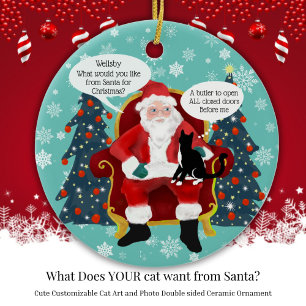 Funny Tuxedo Cat Christmas Wishes Custom Double Ceramic Ornament