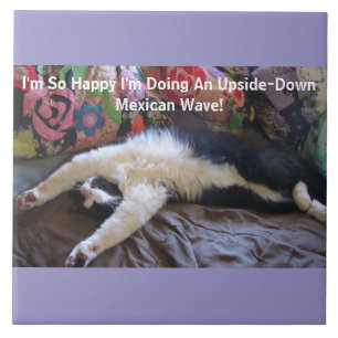Funny Tuxedo Cat Cute doing a Mexican Wave Magnet Ceramic Tile