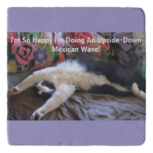 Funny Tuxedo Cat Cute doing a Mexican Wave Magnet Trivet
