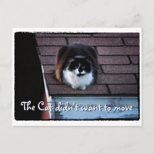 Funny Tuxedo Cat on Roof Moving Announcement