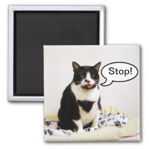 Funny Tuxedo Cat "Stop!" Magnet