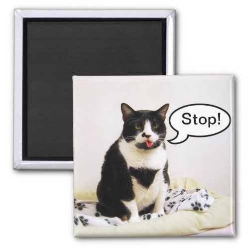 Funny Tuxedo Cat Stop Magnet