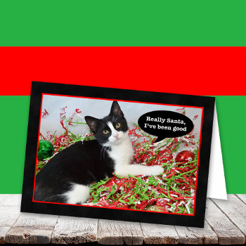 Funny Tuxedo Kitten Cat Christmas Card by KathyHenis at Zazzle