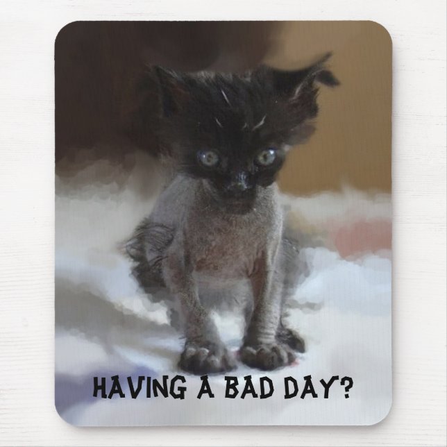 Funny Ugly Kitty Mousepads (Front)