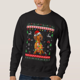 Funny Ugly Sweater Lights Dachshund Santa Dog
