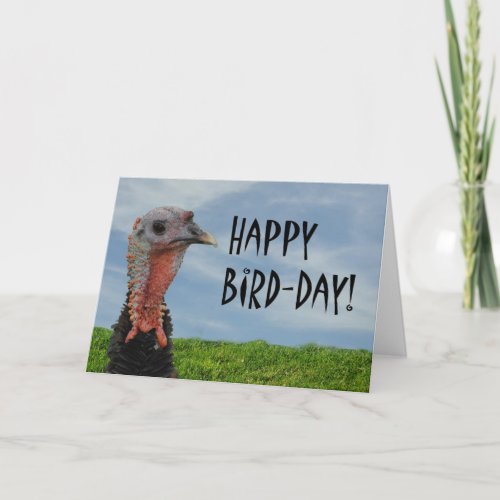 Funny Ugly Turkey Happy Thanksgiving Birthday Card