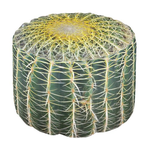 Funny Uncomfortable Tropical Cactus Pouf