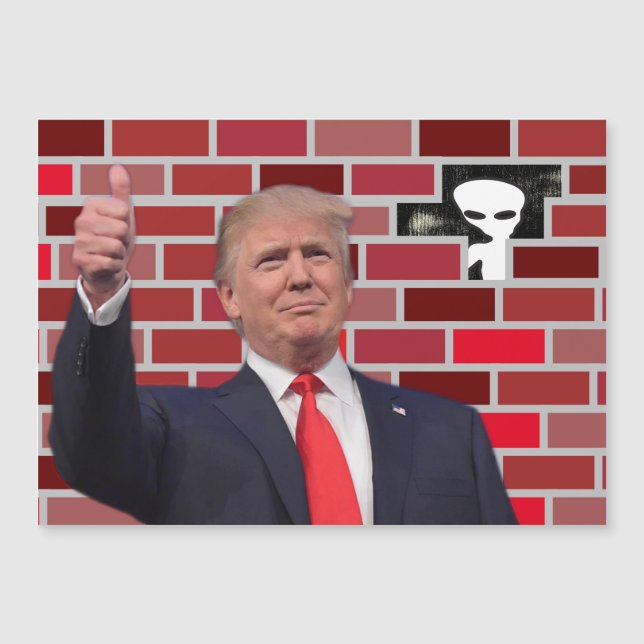 Funny Undocumented Immigrant Wall Gag 😂 UFO (Front)