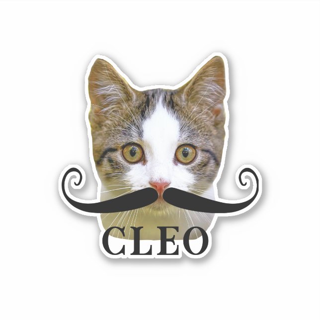 Funny Upload Cat Face Photo & Name with Mustache  Sticker (Front)