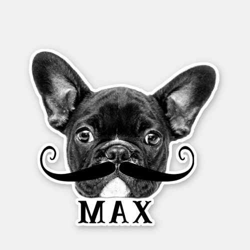 Funny Upload Pet Face Photo  Name with Mustache Sticker