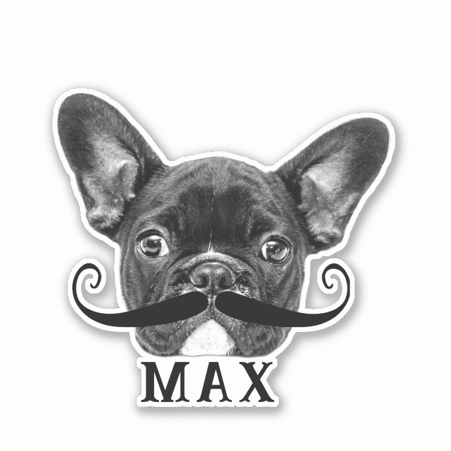 Funny Upload Pet Face Photo & Name with Mustache Sticker (Front)