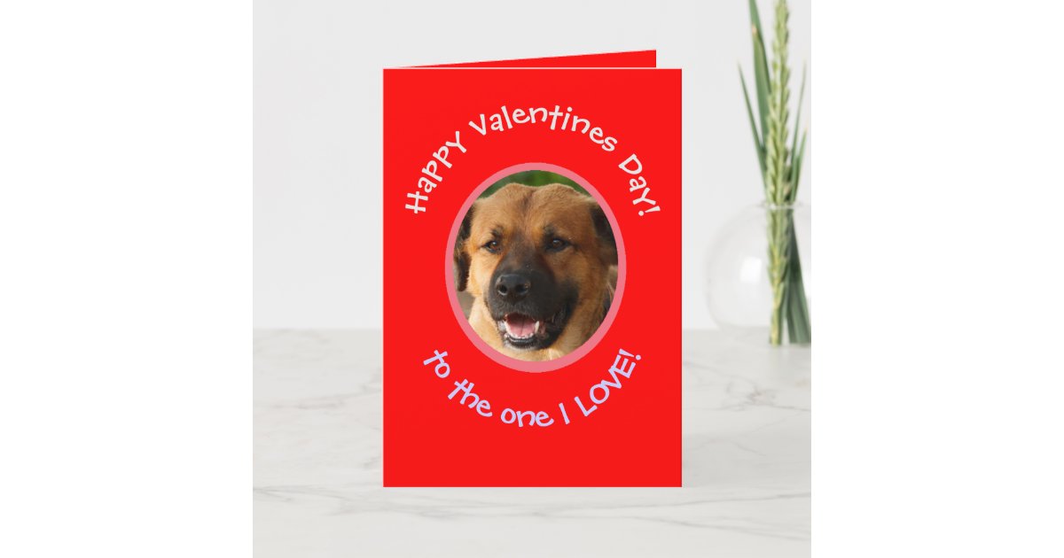funny valentine dogs