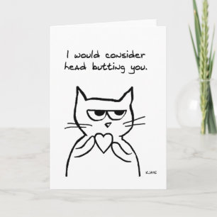 Funny Valentine - The Cat Might Possibly Like You Holiday Card
