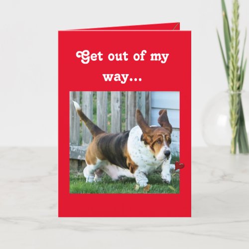 Funny Valentine with Basset Hound and Hearts Holiday Card