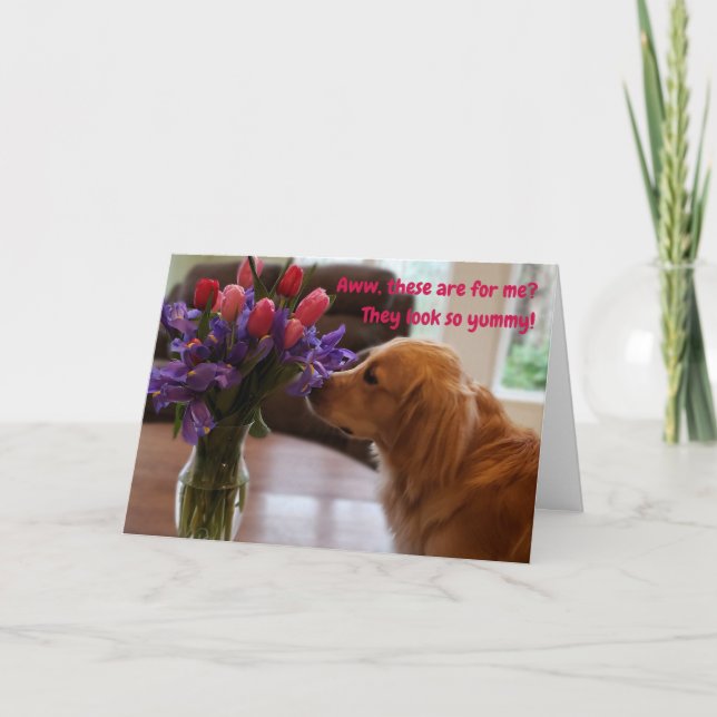 Funny Valentine's card, Dog eating flowers Card (Front)