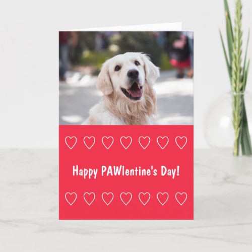 Funny Valentines Day card from dog