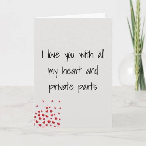 Funny Valentines day Love you Private Parts Card