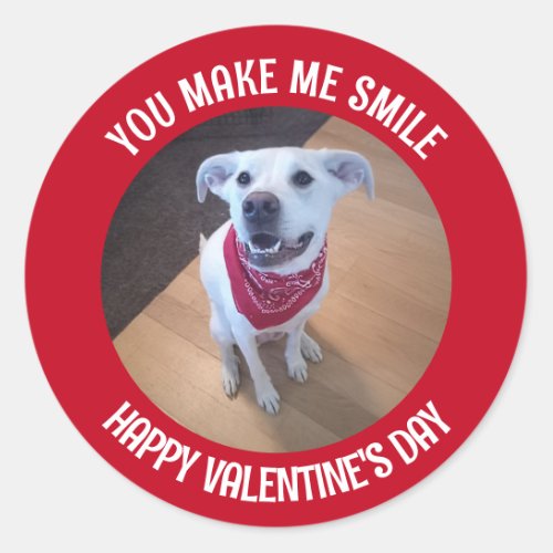 Funny Valentines Day You Make Me Smile Dog Classic Round Sticker