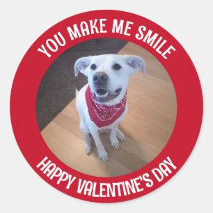 Funny Valentine's Day You Make Me Smile Dog Classic Round Sticker