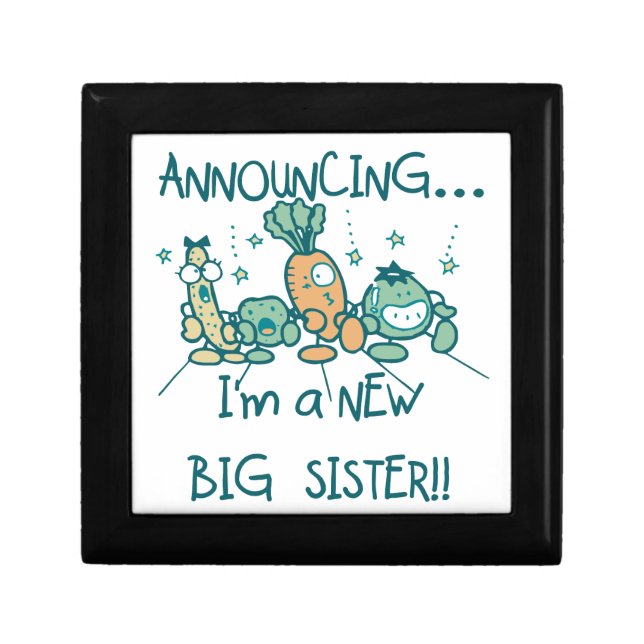 Funny Veggies New Big Sister Gift Box (Front)