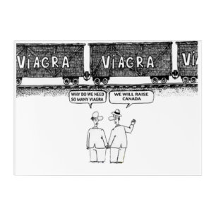 Funny "VIAGRA" Acrylic Wall Art