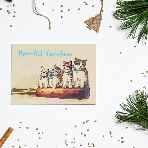 Funny Victorian Christmas Cats Postcard
