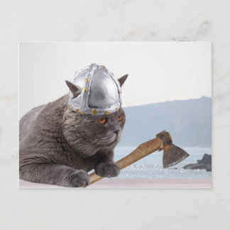 Funny viking cat postcard