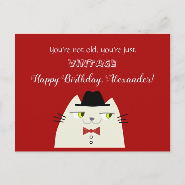 Funny Vintage Birthday Cat Postcard Humor (Front)