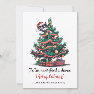 Funny Vintage Cat Christmas Card