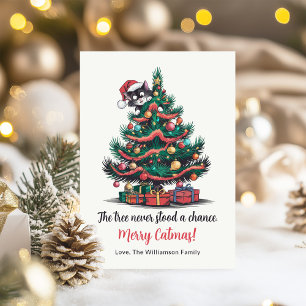 Funny Vintage Cat Christmas Card