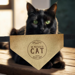 Funny Vintage Cat Name Pet Bandana Collar